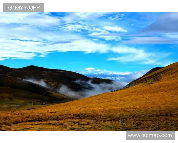 萨林杰的文学世界与人性探讨：从孤独到自我救赎的心灵旅程