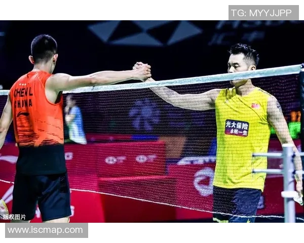 杭州羽毛球队反击战术解析与实战应用探讨