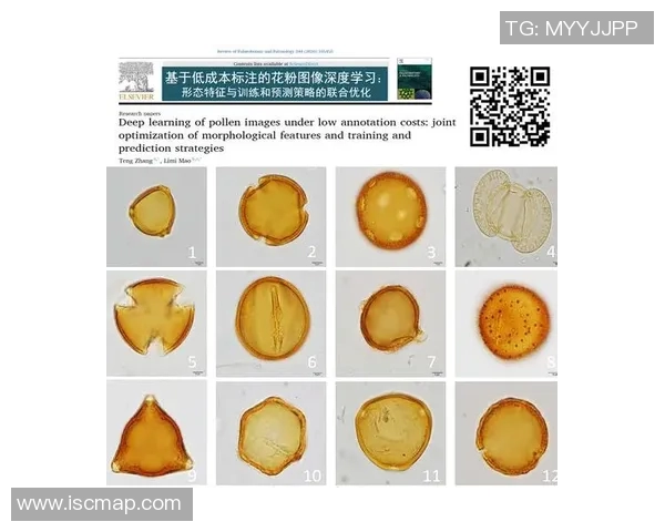 北京羽毛球队包夹战术深度解析与训练策略探讨