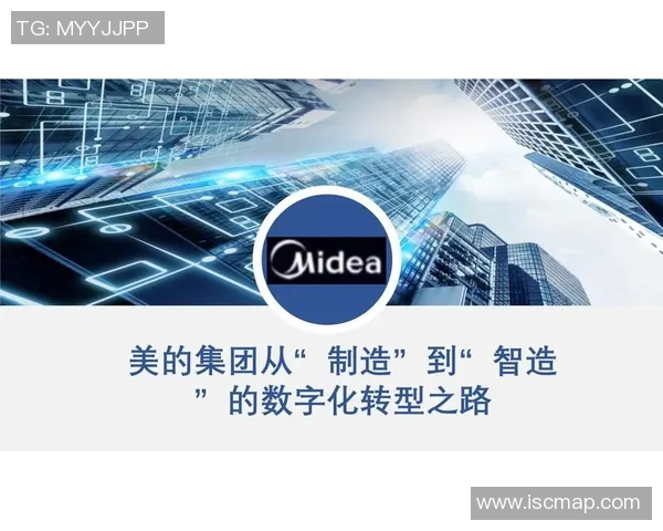 武汉足球队的转型之路：从传统到现代的深度解析与展望